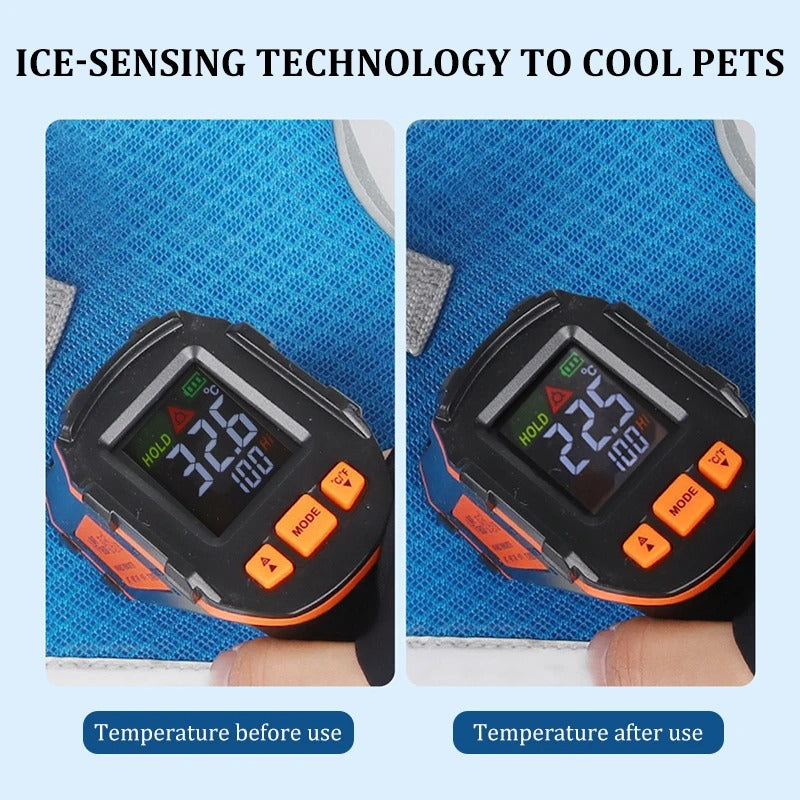 Frenchie Cooling Traction Vest - Breathable Summer Harness for French Bulldogs