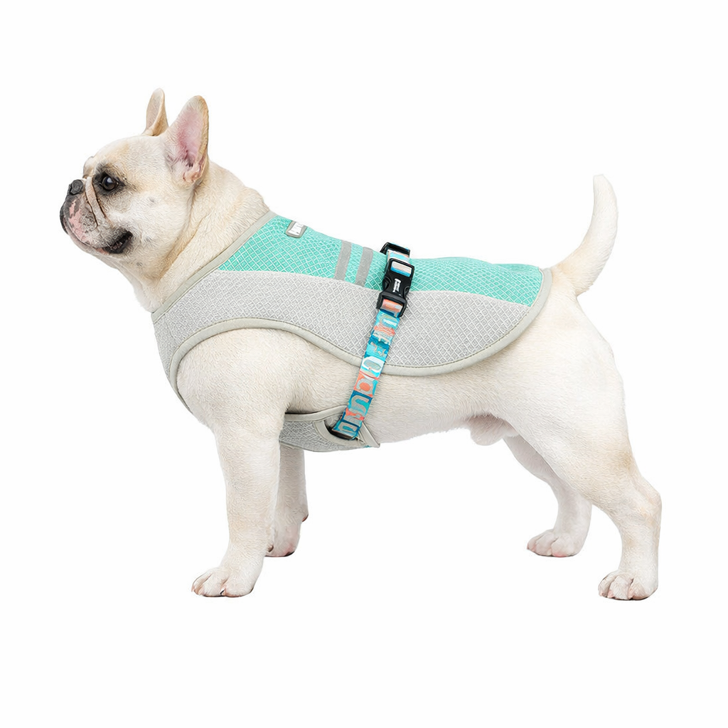 Functional Cooling Vest for French Bulldog - Breathable Summer Heatproof Gear