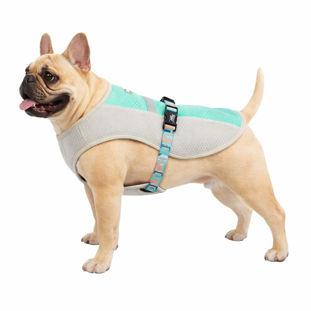 Functional Cooling Vest for French Bulldog - Breathable Summer Heatproof Gear