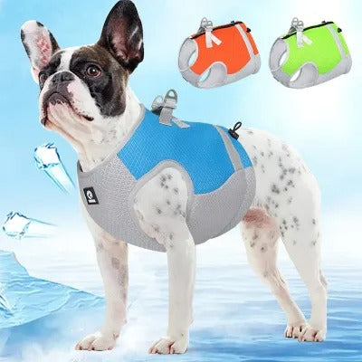 Frenchie Cooling Traction Vest - Breathable Summer Harness for French Bulldogs