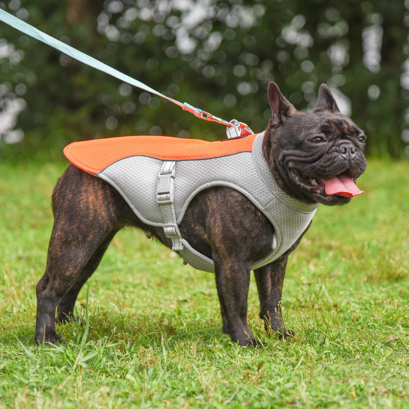 Functional Cooling Vest for French Bulldog - Breathable Cooling Gear for Frenchies