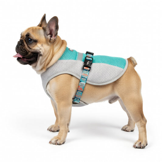 Functional Cooling Vest for French Bulldog - Breathable Summer Heatproof Gear